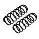 Genuine Apec Pair Of Front Coil Springs For Mercedes Benz C180 1.8 (08/07-08/14)
